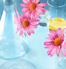 probeta y flores