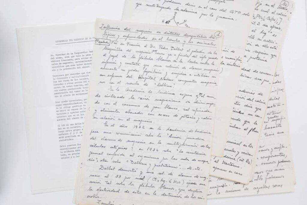 Cartas manuscrítas de Ana María Lajusticia