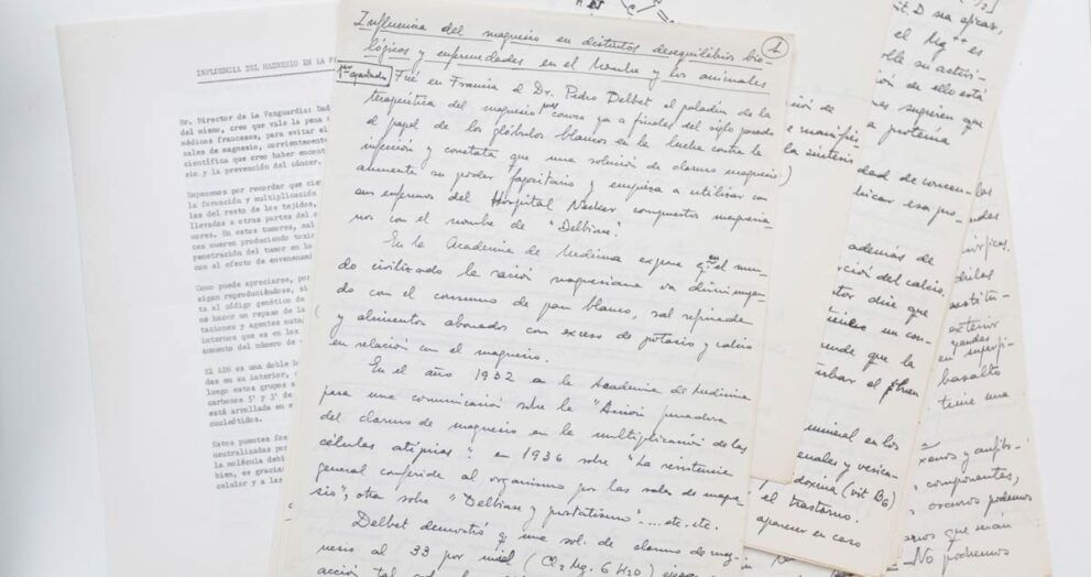 Cartas manuscrítas de Ana María Lajusticia