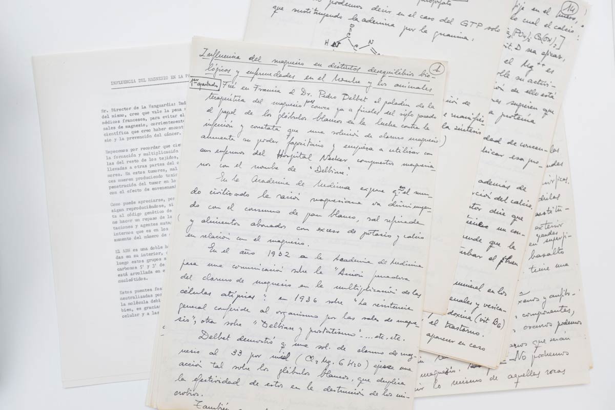 Cartas manuscrítas de Ana María Lajusticia
